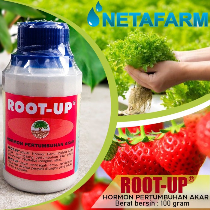 ROOT UP 100gr Pupuk Hormon Pertumbuhan Akar