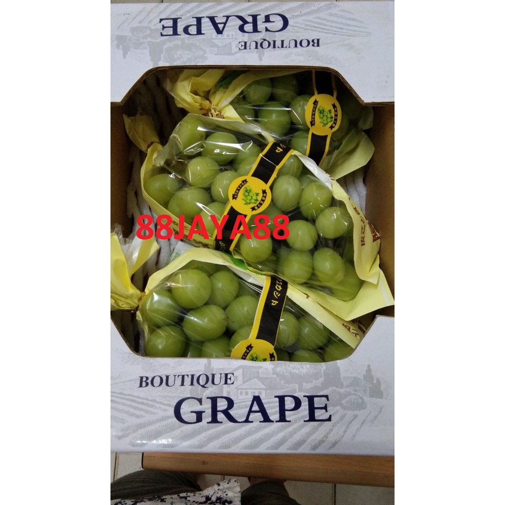 

ANGGUR CHINA HIJAU (88JAYA88)