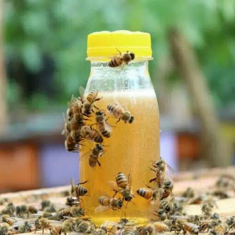 

Madu Murni - MADU SENOKELING 200 gram