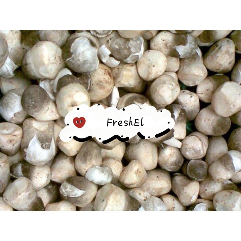 

FreshEl - JAMUR MERANG 250gr