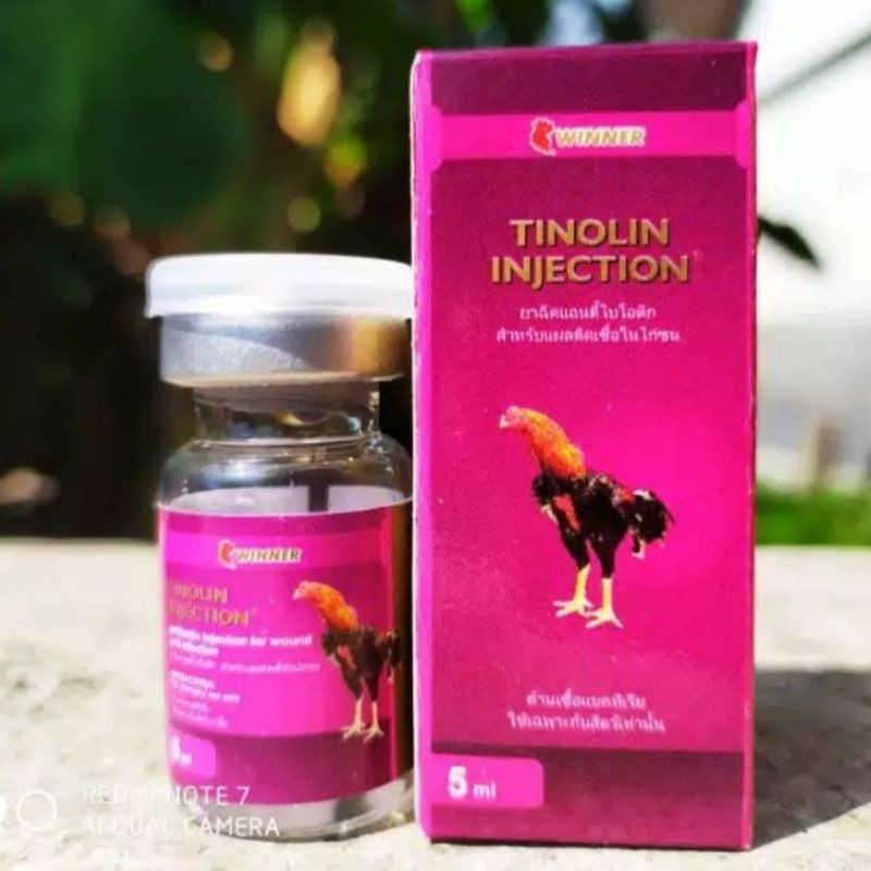 TINOLIN INJECTION obat ayam sesudah tarung adu jalu