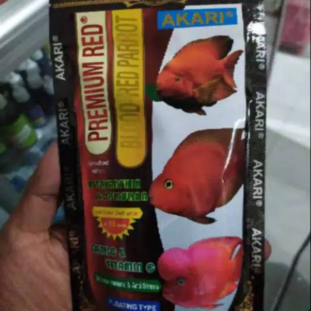 Akara Premium.red  Blood red parrot