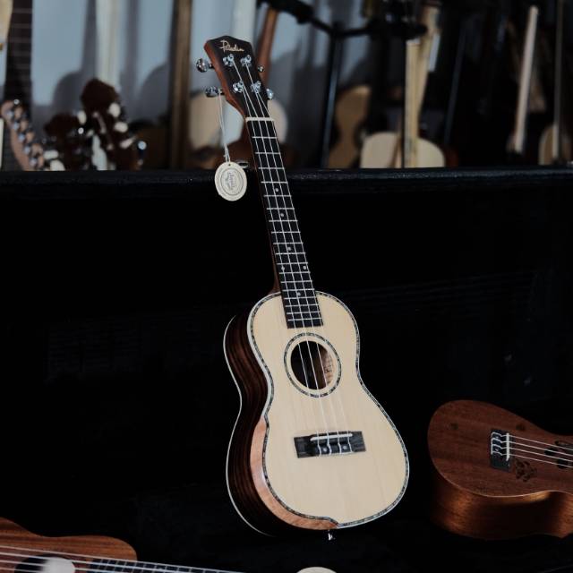 Gitar Ukulele Concert UK 53 Brand Paladin