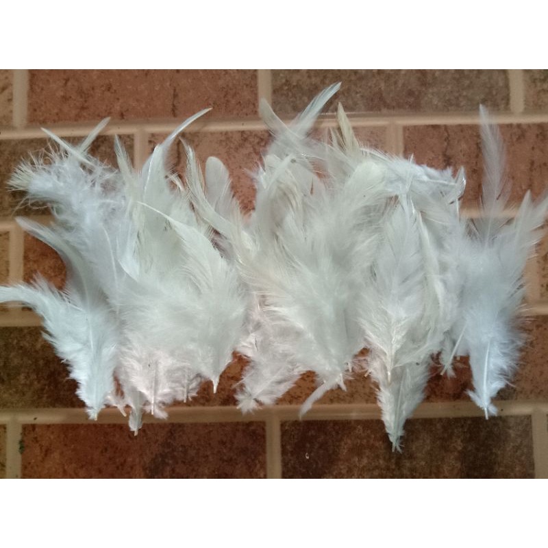 Bulu ayam  jago putih 50 helai bahan umpan pancing