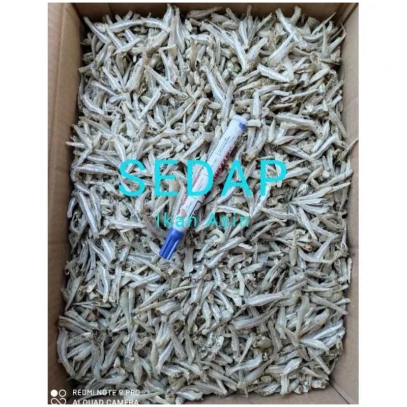 

Teri Jengki Rebus Asin 100GRAM Kering