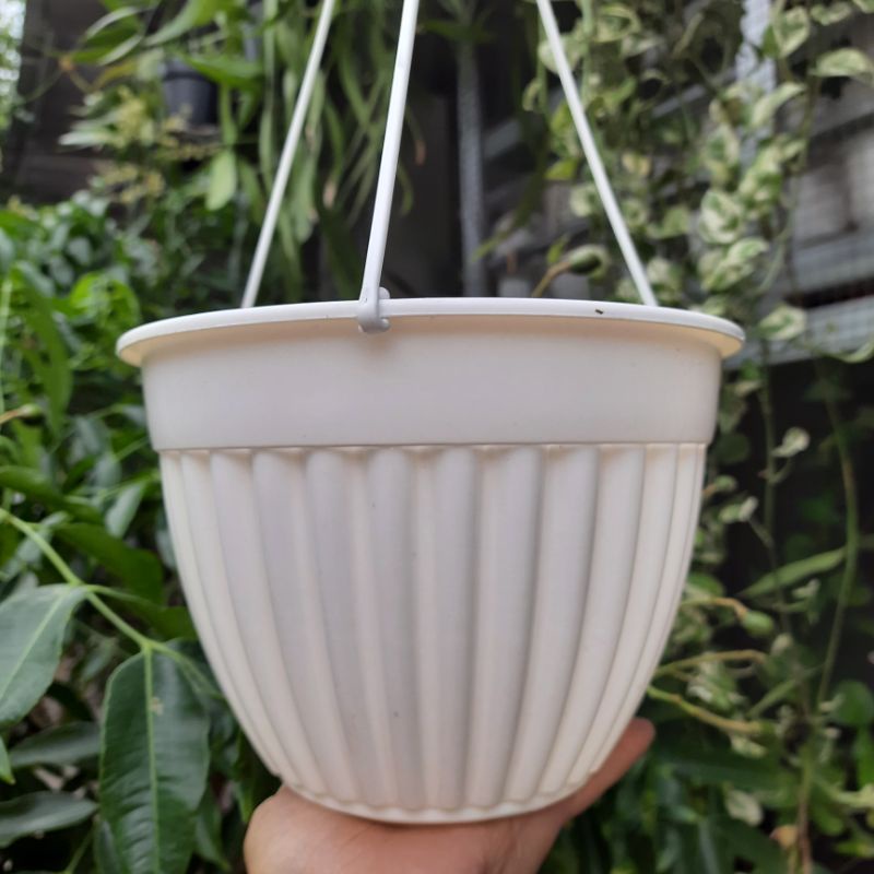 Pot Bunga Gantung Ruplas Putih / Pot Tanaman