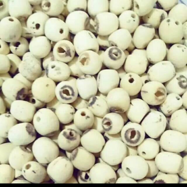 

Lian zhi kecil/ biji teratai import 100 gr