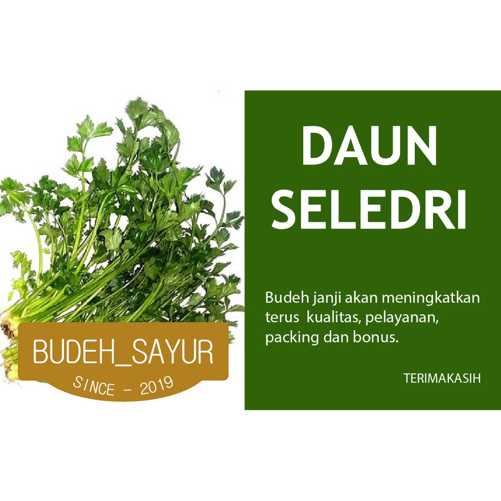 

Daun Seledri 150gr