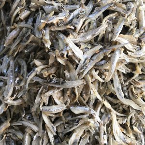 

Ikan Asin Maco putiah Oleh-Oleh Asli Cemilan Kampung Makanan Khas Payakumbuh Padang Jajanan Snack Kuliner Minang Kabau AX00