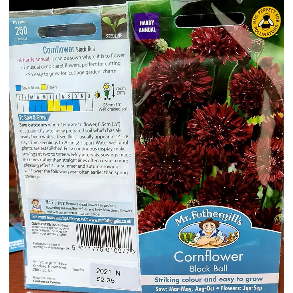 CORNFLOWER BLACK BALL PACK ISI 250 BIJI benih biji bunga cornflower blackball Mr.Fothergills Bibit Tanaman