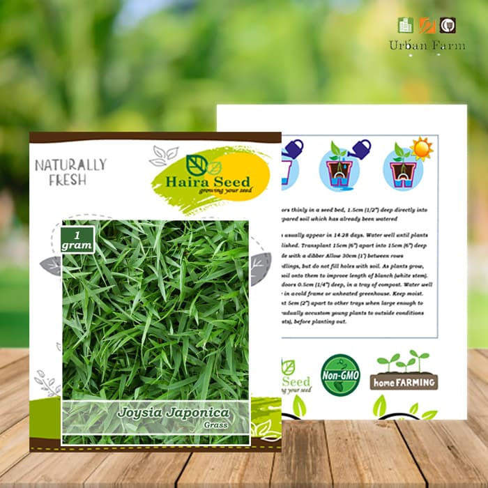 Haira Seed Bibit-Biji Rumput Jepang