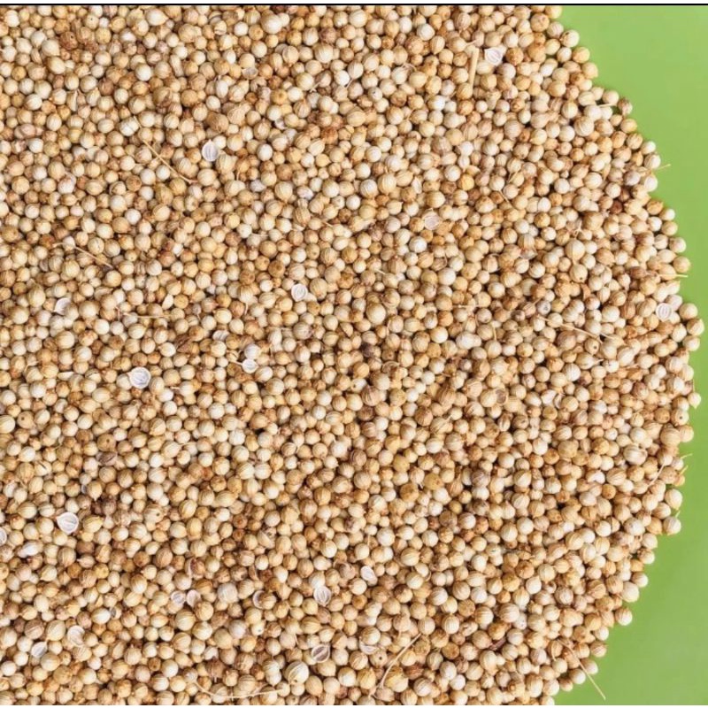 

KETUMBAR ASLI KETUMBAR ORGANIK SUPER KEMASAN 100 gram