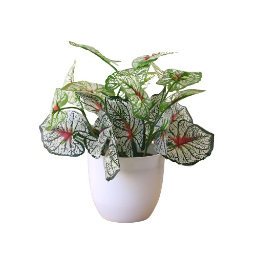 Satu7an Ornamen Bunga Plastik Tanaman hias Dekorasi Rumah Pajangan ARTIFICIAL Murah Impor pot bonsai-DAUN 12 - PBP09