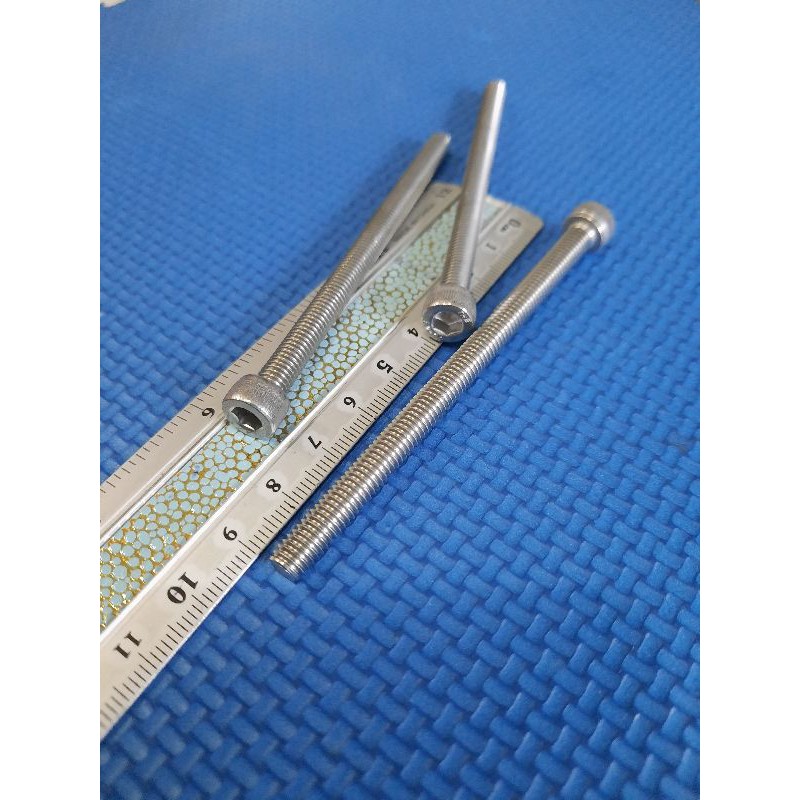 baut 10/m6x9cm L5 stainless