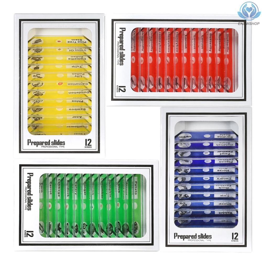 Enew 48pcs Set Plastic Prepared Microscope Slides Animals Insects Plants Sample Specimens Slides Set With Color Labels For Kids Students Shopee Indonesia