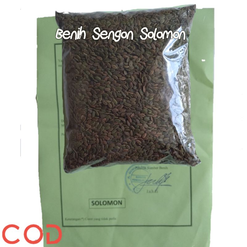 BISA CODBenih Sengon Solomon 1000gram Bibit Sengon Solomon Benih Sengon Bibit sengon Sengon