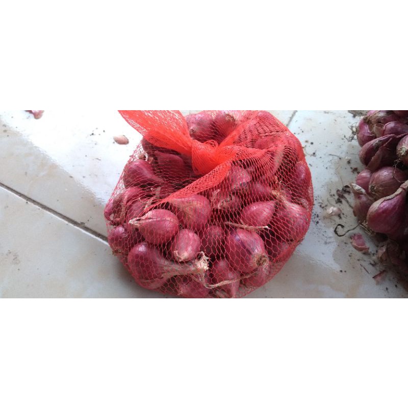 

bawang brebes asli