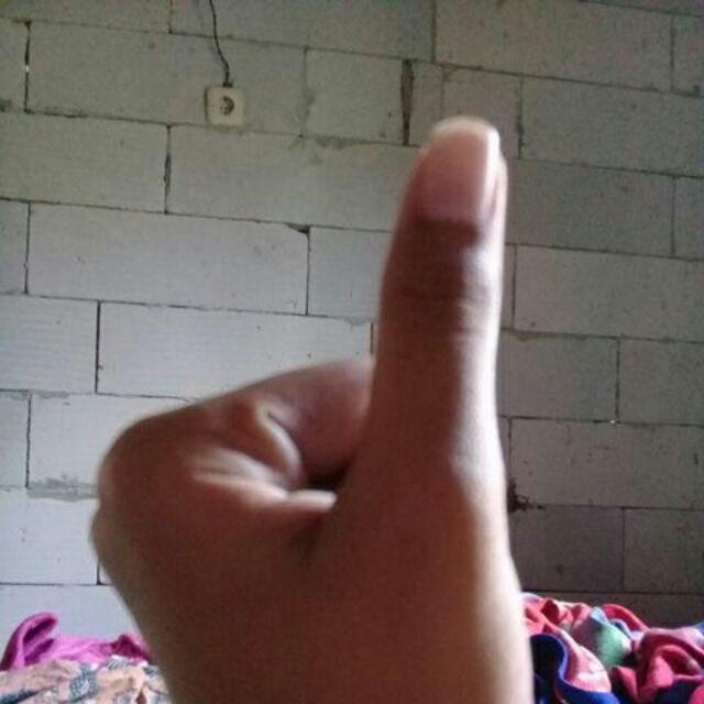 Trapes / Ambalan Kayu