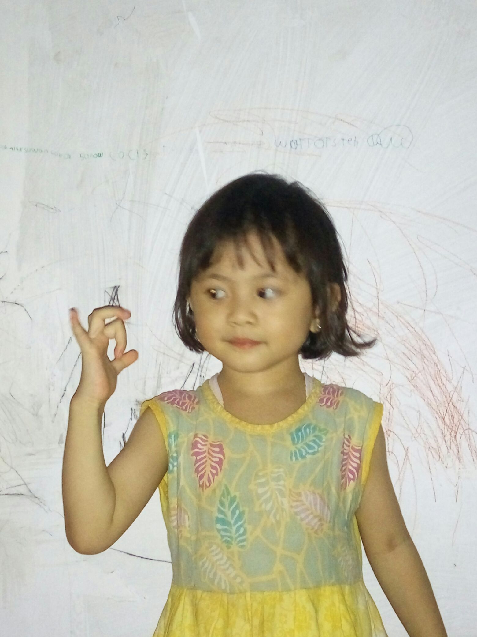 Alat Parutan Buah Dan Sayuran Multifungsi Peeler Serbaguna