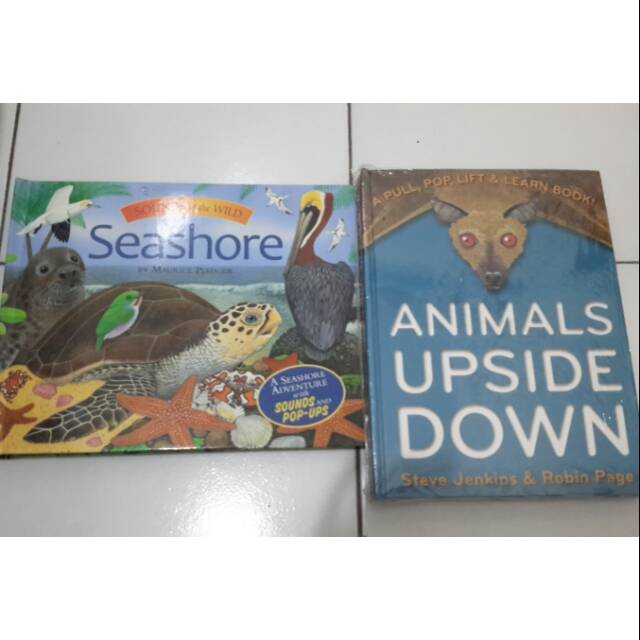 SEASHORE DAN ANIMALS UPSIDE DOWN