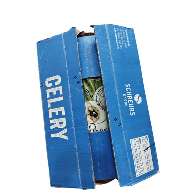 

celery stick import Australia | seledri jumbo fresh import 15 kg | box