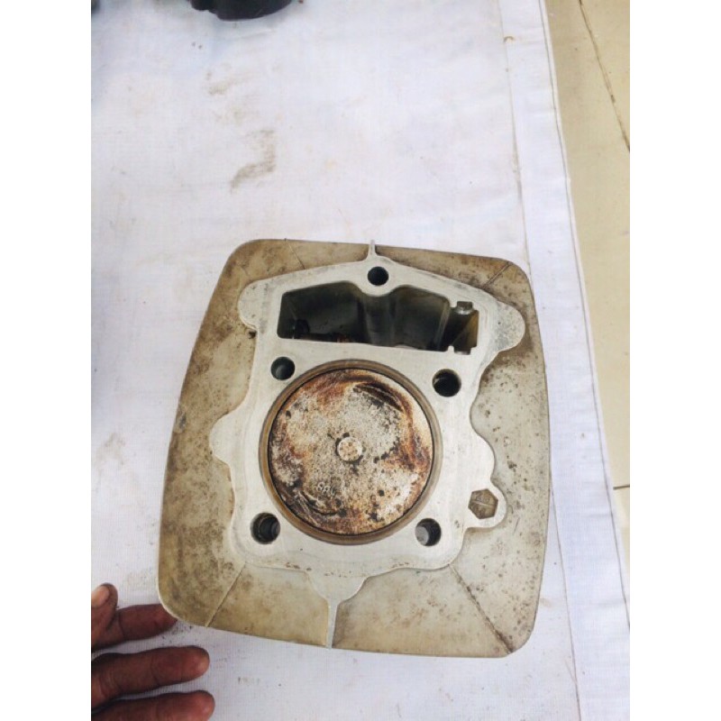 blok buring ori copotan tiger revo th muda