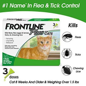 Obat kutu Kucing - Frontline Plus Cat untuk 8 weeks or older (1 Pipet)