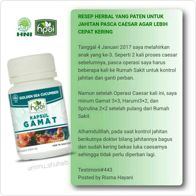 Gamat Hpai Indonesia