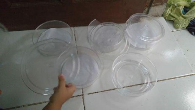 Toples Mika  1/2 Kg.