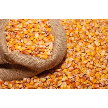 

Biji - Jagung/Popcorn (250gr)