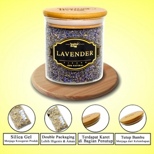 

Deskripsi Lavender | Relaxing | Tisane | Flower Tea |Teh Bunga| Detox |Kesehatan | Kecantikan