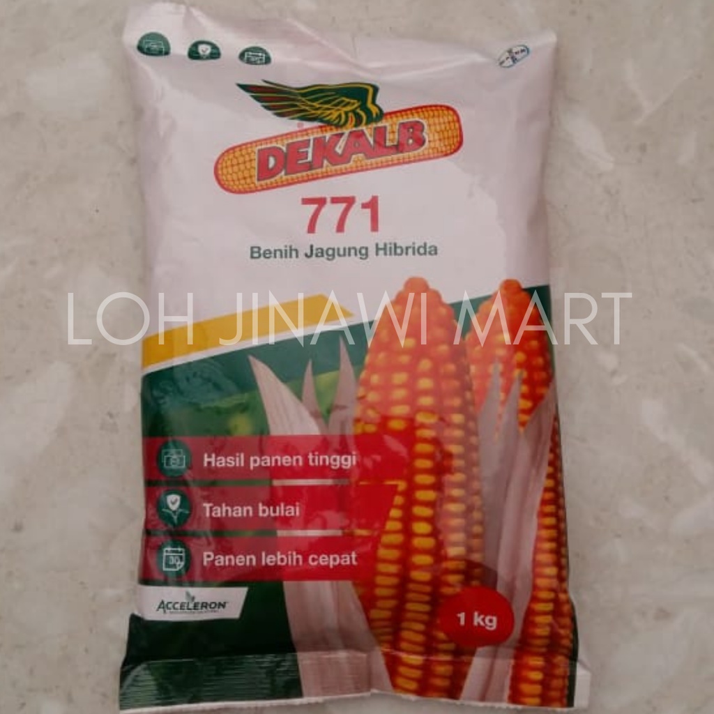 Benih Jagung DK 771 1 kg