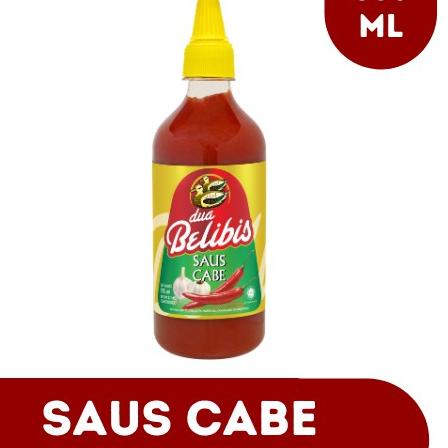 

SAOS CABE 535ml ホ