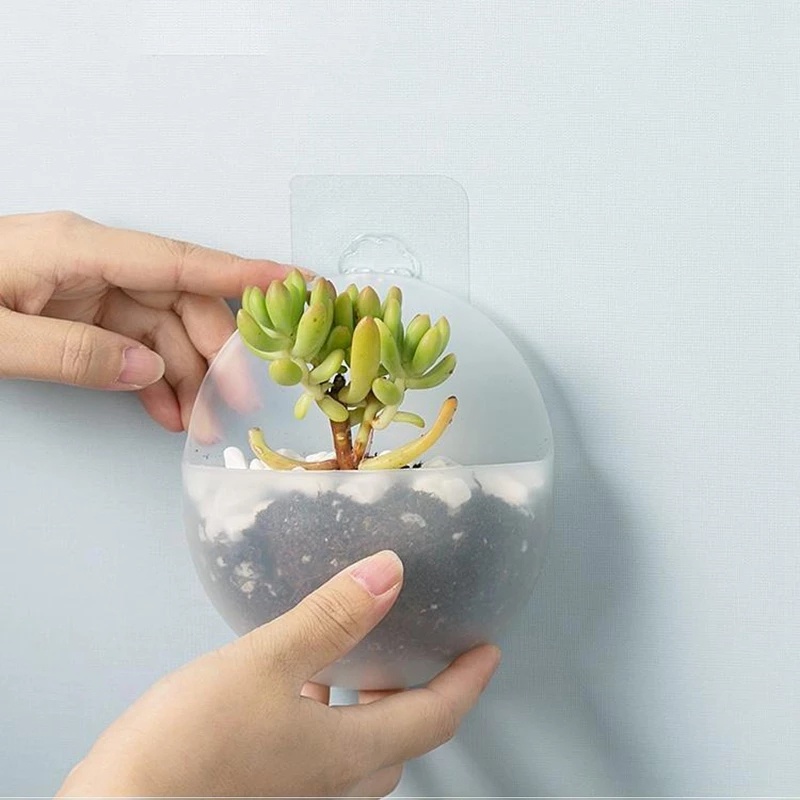 1PC Wall Mount Succulent Bonsai Flower Pot Plastic Plant Pot / Hanging Railing Flower Vase Wall-mounted Flower Pots Hydroponic Succulent Plant Holder /Self-adhesive Wall Planters Nordic Wall Garden Decor Display Stand Home Decor