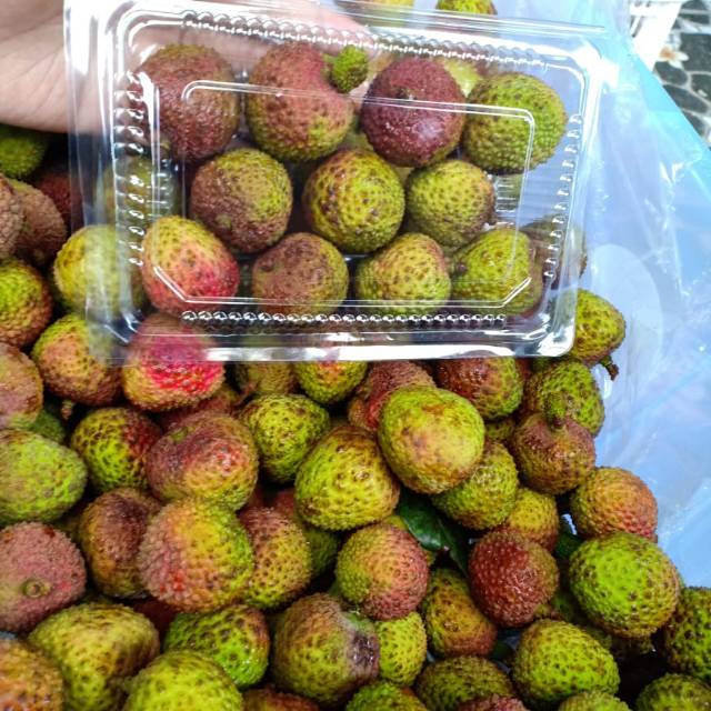 

Leci Madu Murah!! 1kg, 1/2kg, 1/4kg