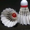 Fasco 25 Shuttlecock Badminton Cock Kok Bulu Tangkis Awet Grosir Murah