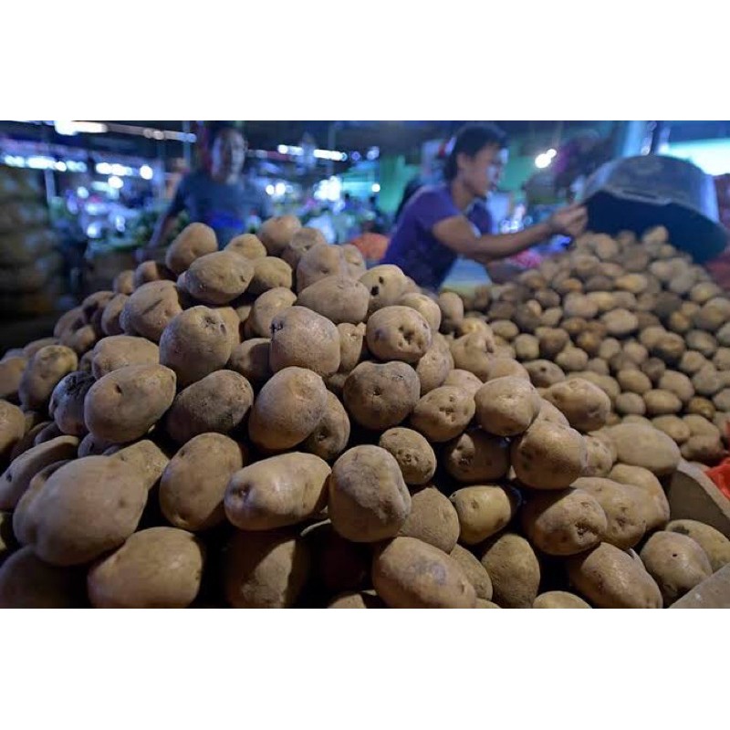 

Kentang Dieng 1 kg Fresh