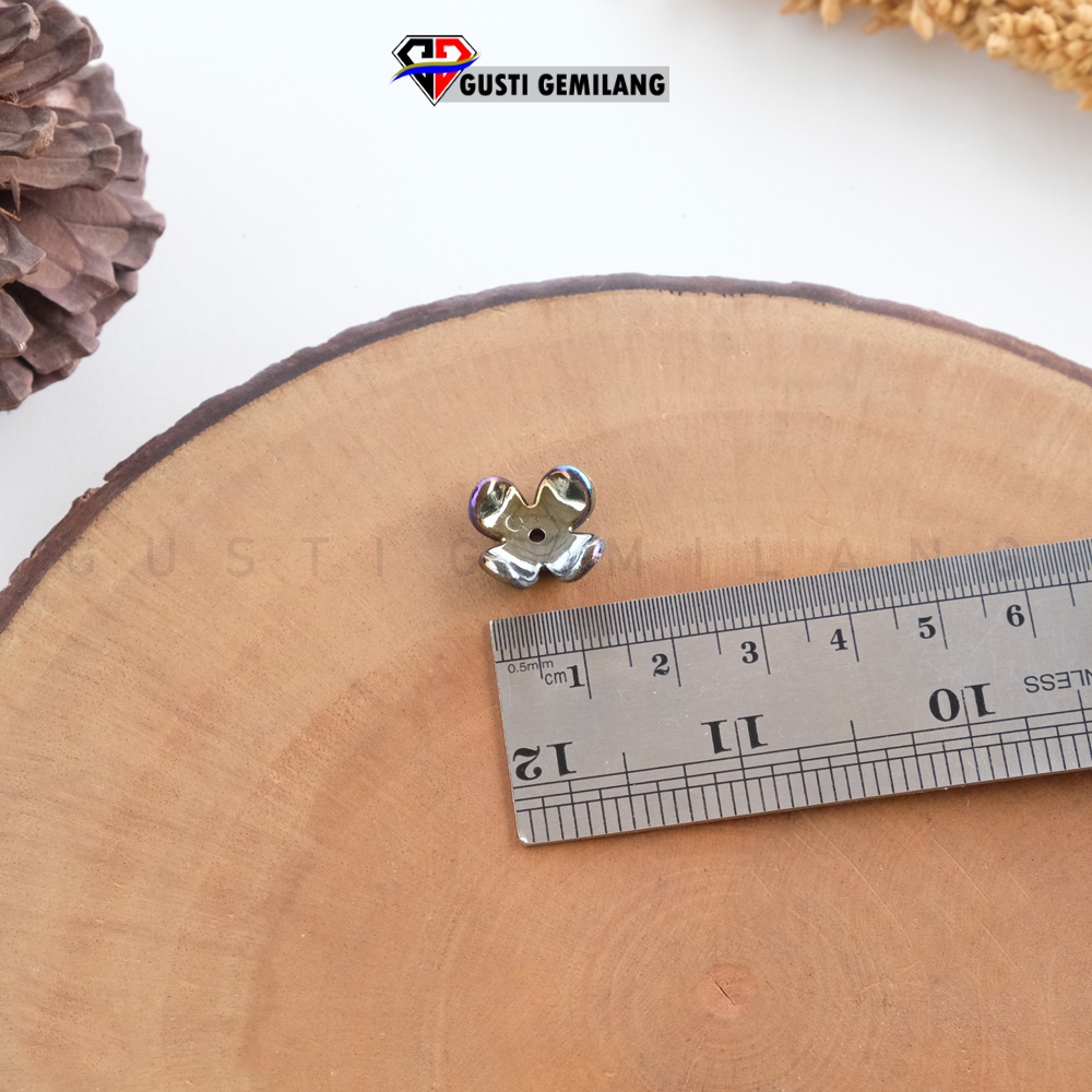 Manik Cangkang Glossy Hitam 10gram