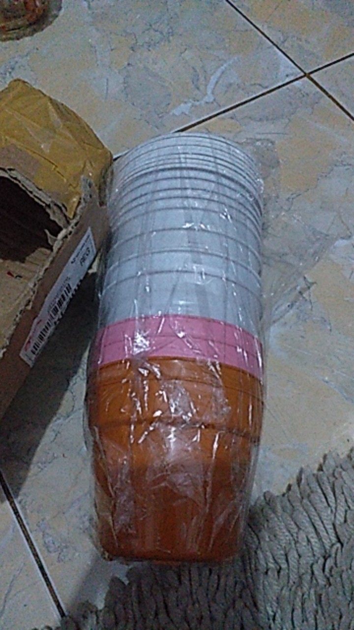 Pot Pirus Gucci Jet 101 Diameter 10 Cm