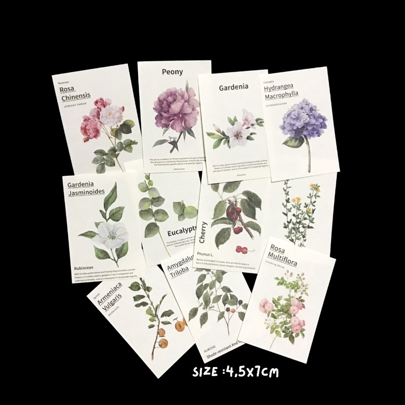 [PART 3] Vintage Flake Perintilan Journal Vintage Kertas Memo Aesthetic Deco Journal Scarpbook-Plant Non