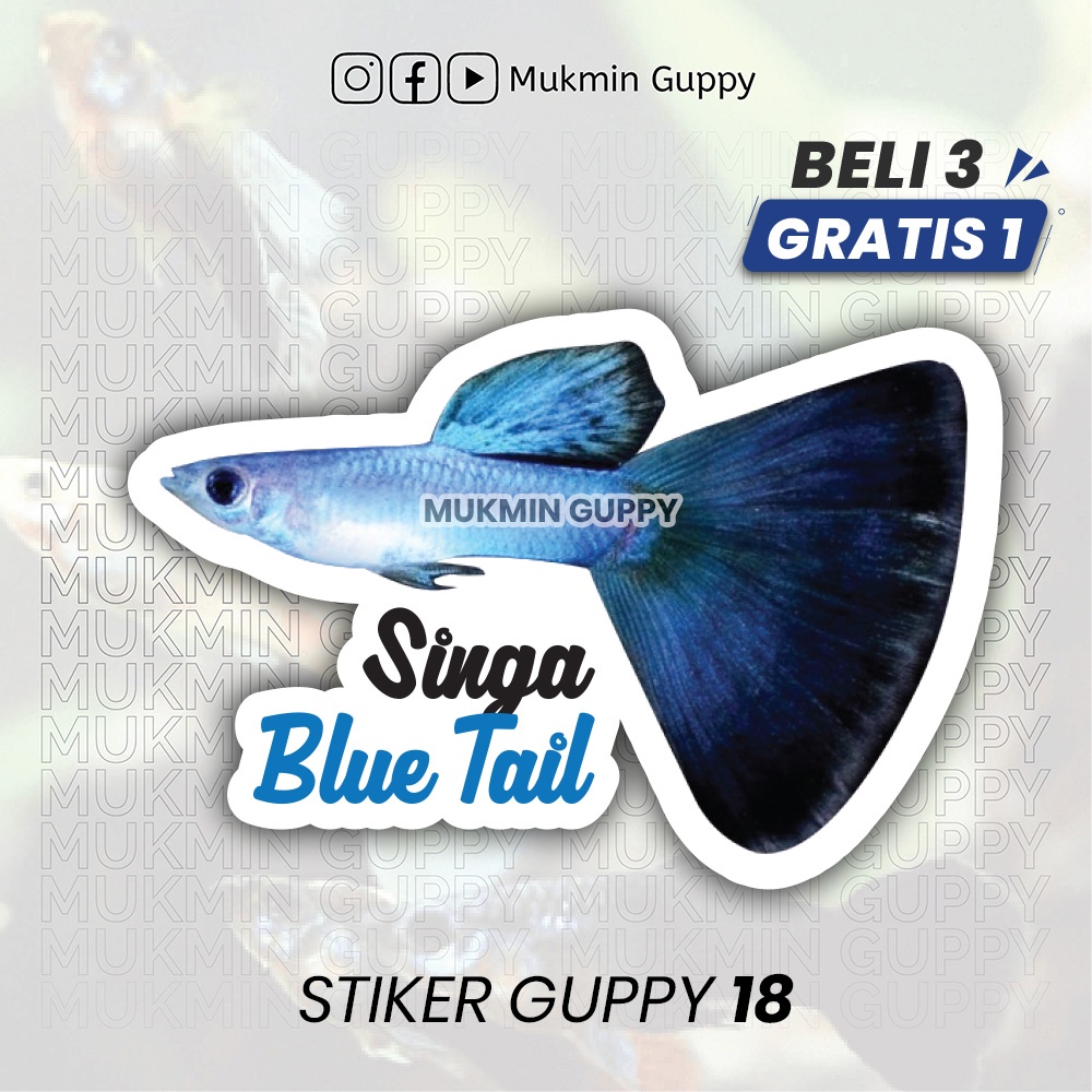 

Stiker Guppy (18) Singa Blue Tail