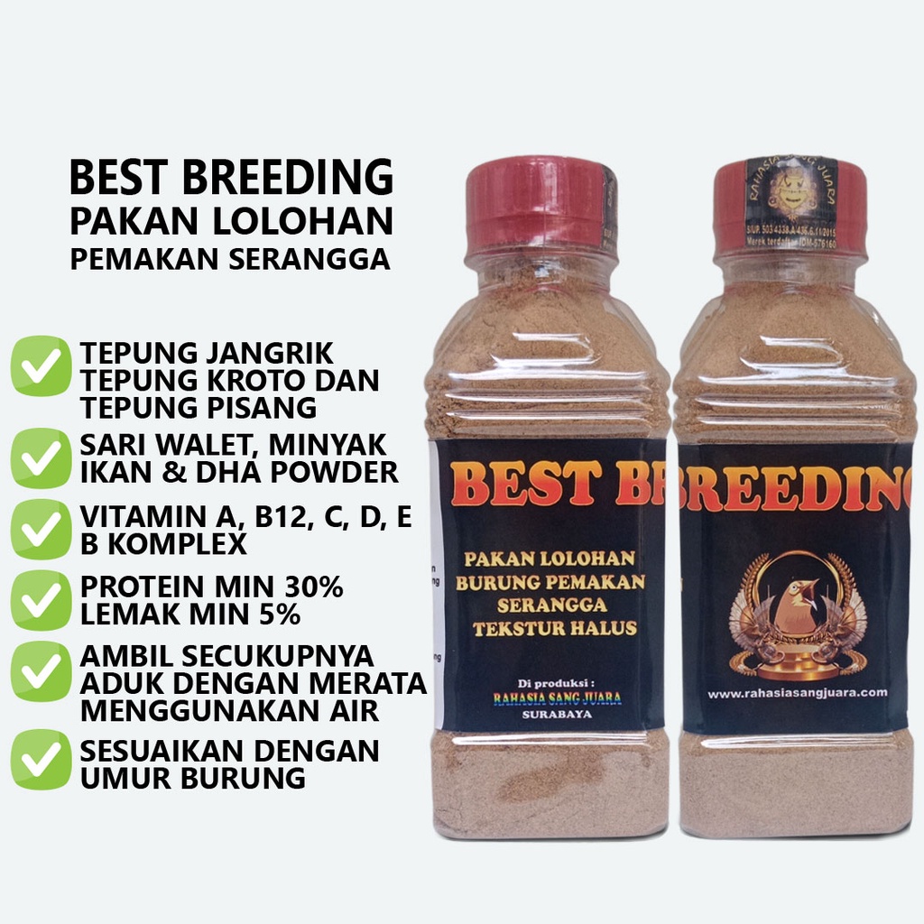 BEST BREEDING BIRD | PAKAN LOLOHAN MURAI BATU KACER CENDET PLECI BURUNG PEMAKAN SERANGGA