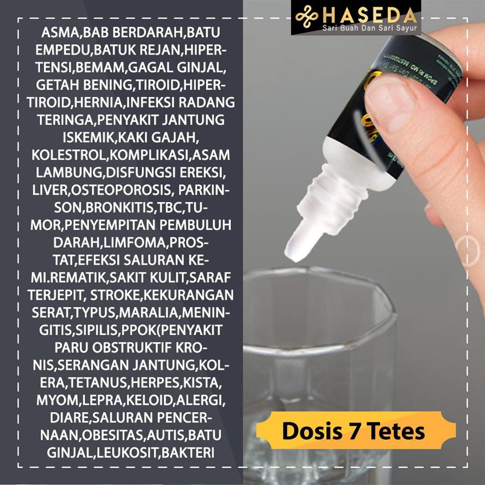 Haseda Obat Tetes Herbal Andalan Sari Buah Dan Sayur Indonesia