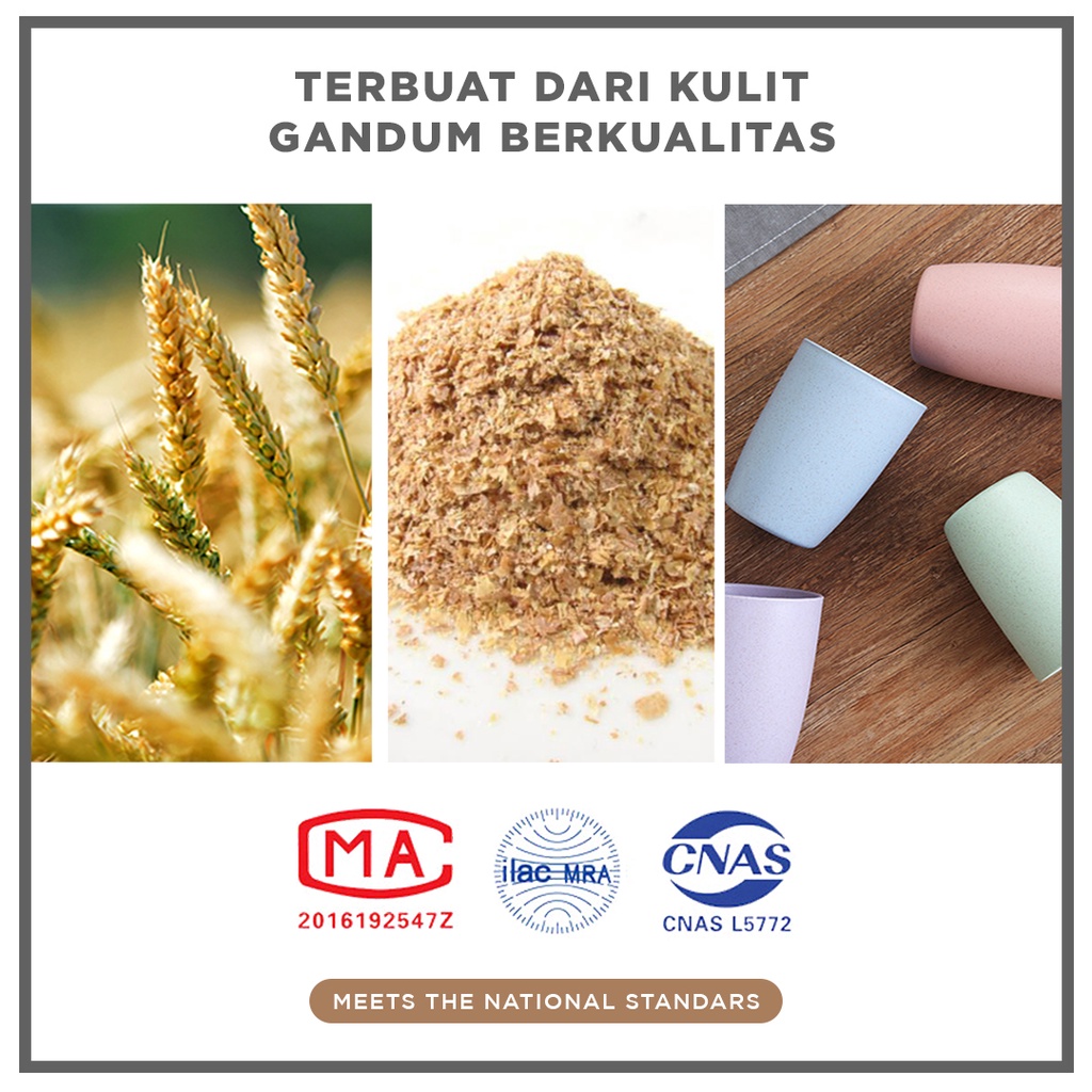 Gelas Wheat Straw Kopi Mug Cangkir | Gelas Gandum Kokoh | BPA Free
