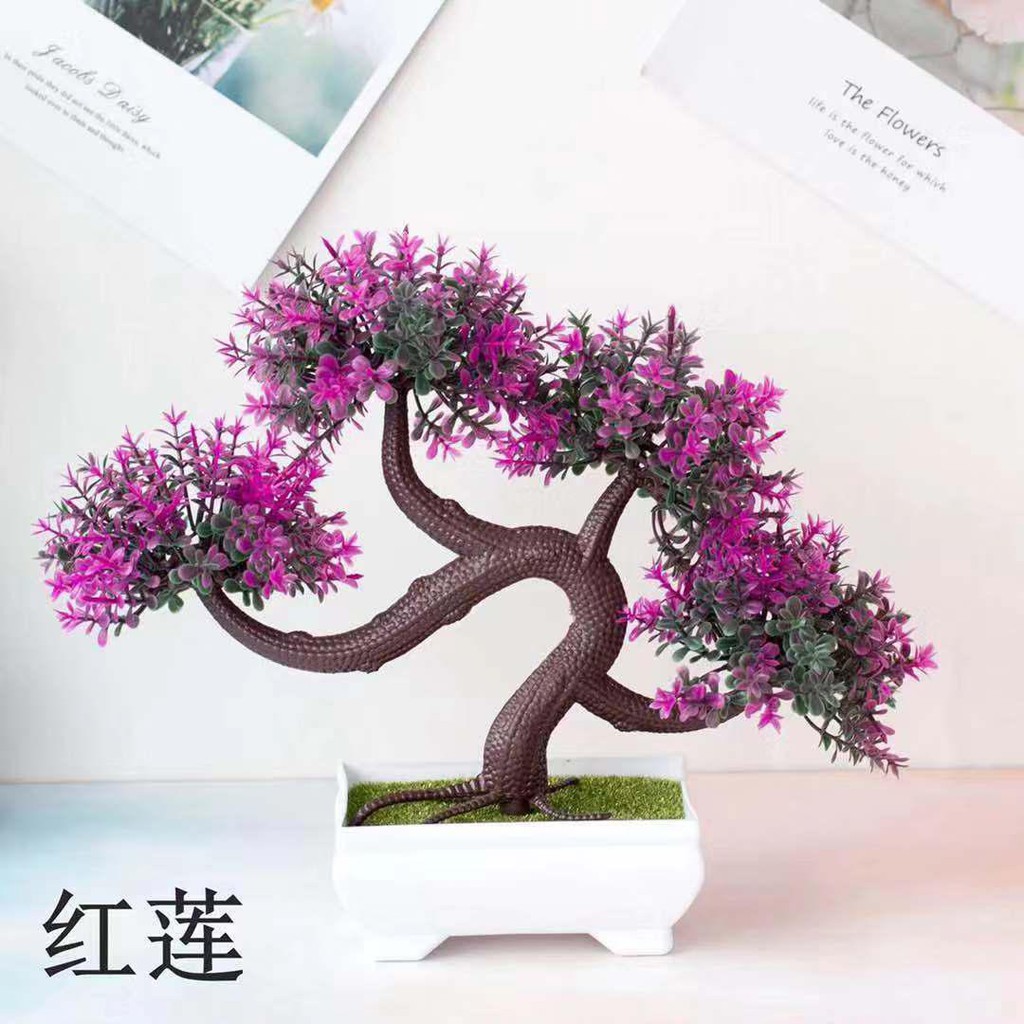 Tanaman Bonsai Plastik