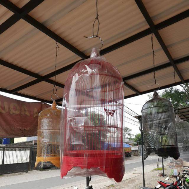Kandang burung Love bird