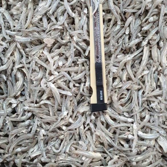 

[COD] ikan teri nasi Lampung biru per 500gr [COD]