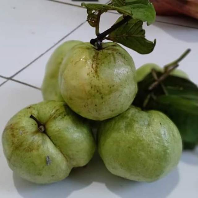 

Jambu kristal