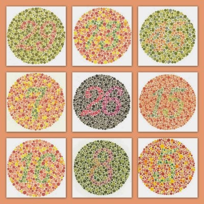 Buku Ishihara 14 Plates / Buku tes buta warna