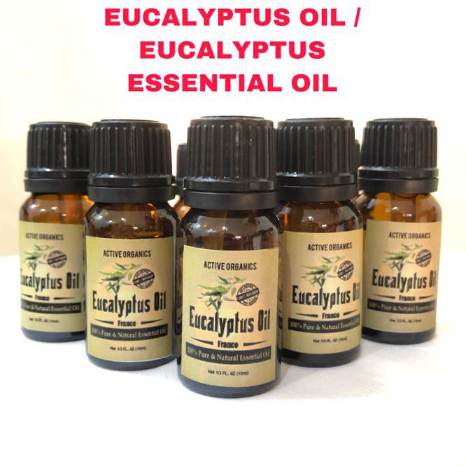 Eucalyptus Oil 10Ml / Eucalyptus Essential Oil / Minyak Eucalyptus <